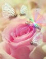 Seelenrose
