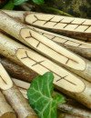 Kayleigh - Hellsehen & Wahrsagen - Medium & Channeling - Beruf & Arbeitsleben - Psychologische Lebensberatung - Sonstige Bereiche